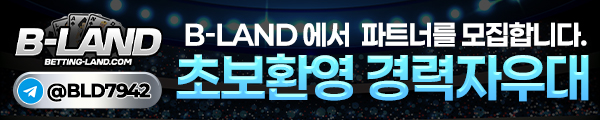 비랜드 총판모집