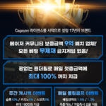 해외솔루션 벳16 총판모집 (초보,경력자 다 가능)